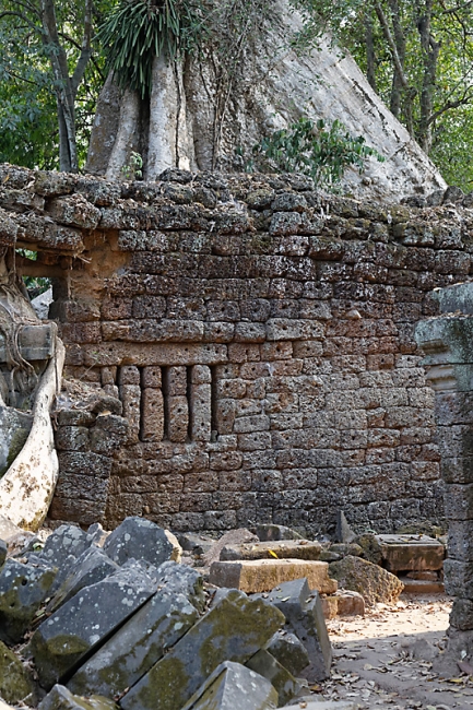 Ta Phrom et environs-155